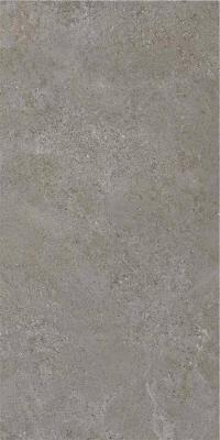 Arenite Dark Grey Matt 120х60