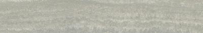 Iconica Silver Verso 10x60