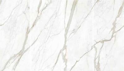 Calacatta Select Luc Set 4 Pcs