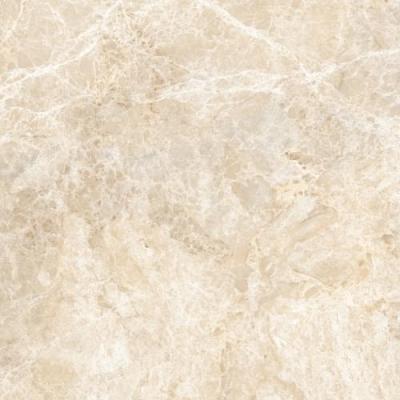 Emperador Beige Glossy 60x60