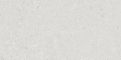 Flodsten Snow 60x120