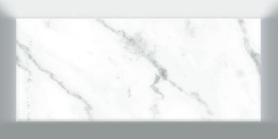 Carrara Asola 7.5x15