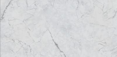 Marmi Invisible Marble White 60x120