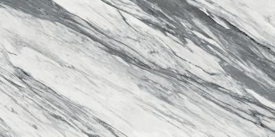 Statuario Fantastico Luc Sq 60x120