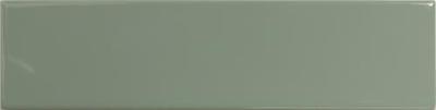 Match Sage Gloss 6.25x25