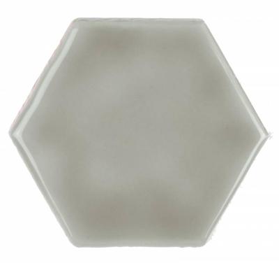 Glossy on Mesh Chameleon 7.9x9.1