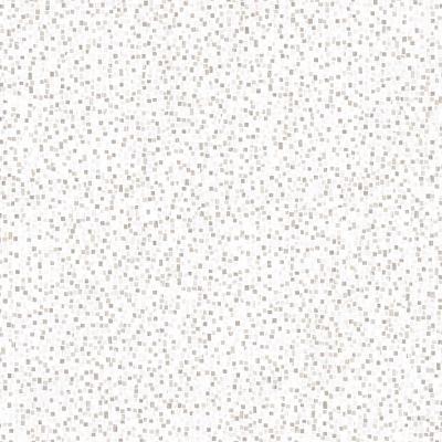 Seminato Di Tessere Calacatta Gold Canova Full Lappato 120x120