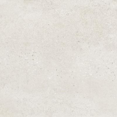 IS6NTT9041L 60x60
