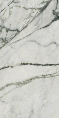 Calacatta Emerald Lev 120x278