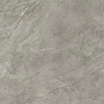 Silver Majestic Lapp