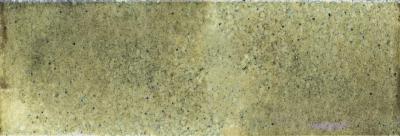Olive 7.5x22.5