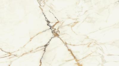 Oro Lusso Rett 60x120