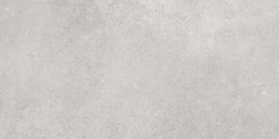 UrbanChic Серый Матовый R10A 60x120