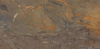 Fossil Brown Malevic Lappato 59x118.2