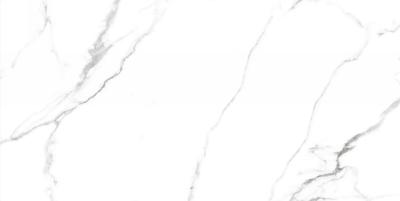 Classic Marble Mckinley Satin 60x120
