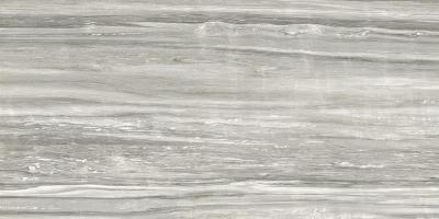 Prexious Pearl Attraction Matte 6 mm 60x120
