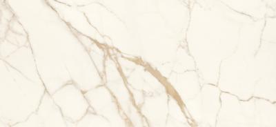 Calacatta Oro 120x260