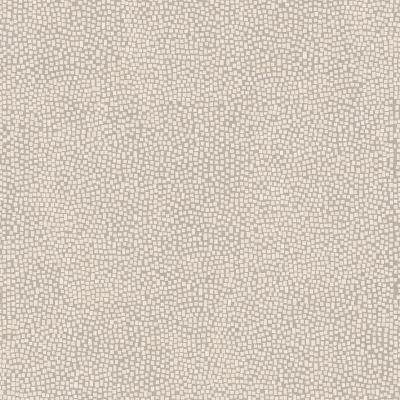 Seminato Di Tessere Marfil Ordonez Full Lappato 120x120