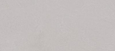 Sisley Gris Mt 59x120