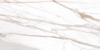 Calacatta Gold Canova Naturale 60x120