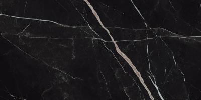 Calacatta Black 60x120