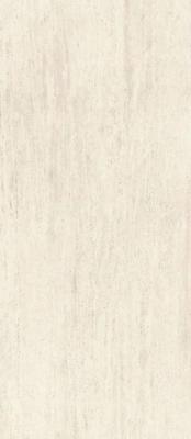 Marvel Travertine White Vein 120x278