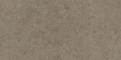 Taupe 30x60