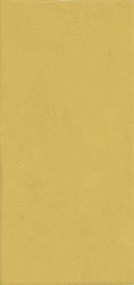 Mustard Matt 6.25x12.5