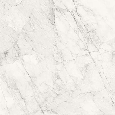 Calacatta Extra White Matt 120x120