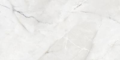 Onyx Moon Polished 60x120