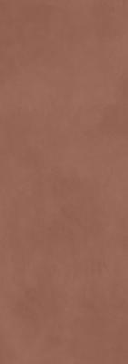 Calce Terracota 100x300