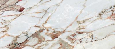 Arabescato Oro CP 03 120x278