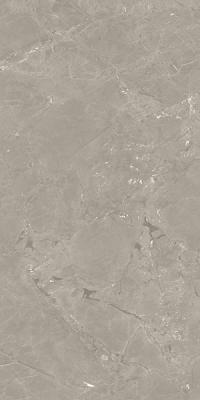 NEEKO TAUPE 60x120