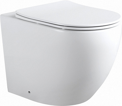 Унитаз приставной Aquanet Rimless Cetus 2.0 F LX-1902 Унитаз приставной Aquanet Rimless Cetus 2.0 F LX-1902