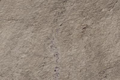 Piombo 20 Mm 60x90
