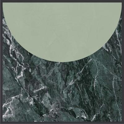 Volta Alpi-Lichene Opaco R