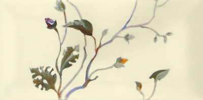 Decor 2 Biselado Crema Single