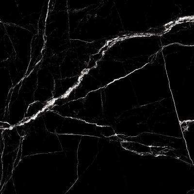 Fossil Slate High Gloss 60x60