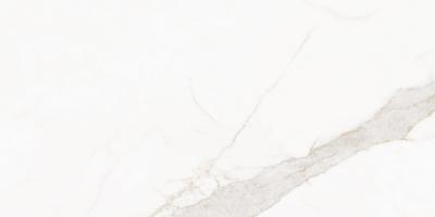 Blanc Calacatta Gold Ductile 60x120