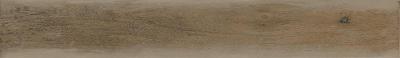 Beige 10x70