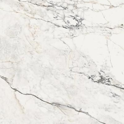 Paonazzetto Matt 120x120