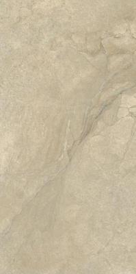 02 Desert Worn 60x120