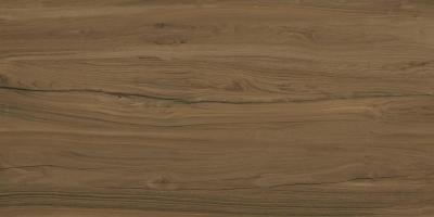 Alleya Dark Brown 60x120