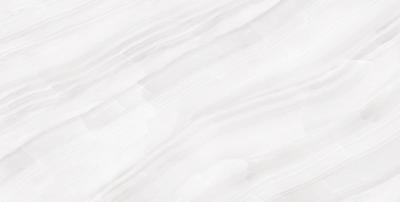 Stelia Light Grey Polished 60x120