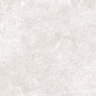 Light Grey Polished 59.2x59.2