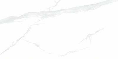 Statuario 60x120