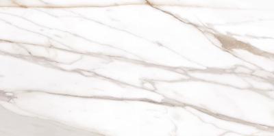 Calacatta Gold Canova Lappato 59x118.2