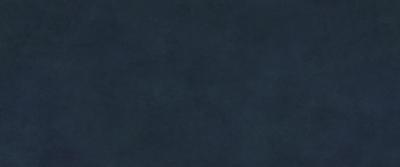 Chromatica Blue 120x300