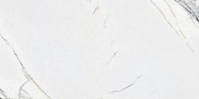 Spider White Glossy 60x120