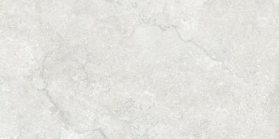 Antique Stone Silver Matt 60x120